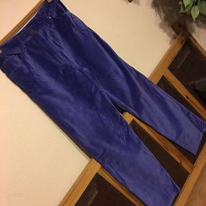 Chadwick’s Blue Velvet Jeans NWOT 10